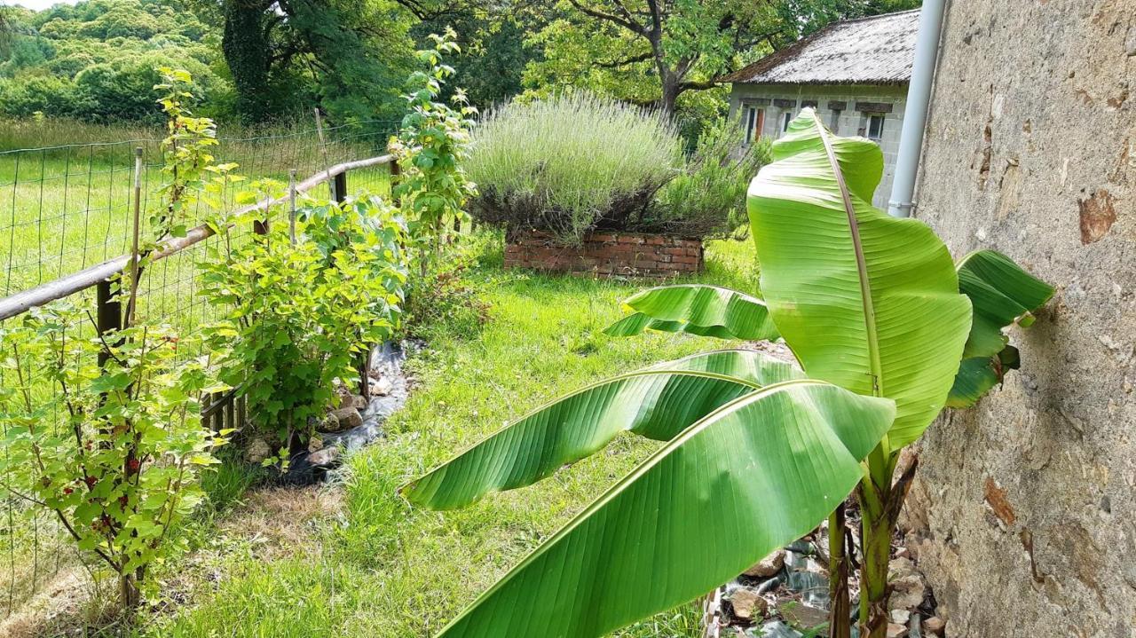 Appartement Charmant Orgnac-Sur-Vezere Avec Jardin Et Parking Exterior photo
